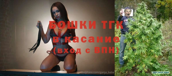 сатива Армянск
